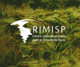 Informe de Prensa del Rimisp