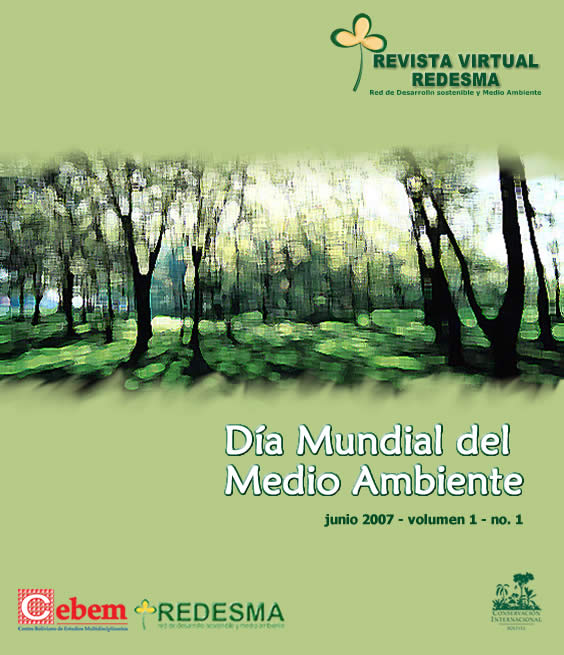 revista virtual Redesma