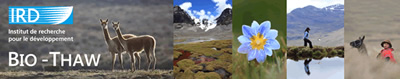 Taller del Proyecto Bio-THAW, Biodiversidad, cambio climático a manejo de bofedales alto-andinos.