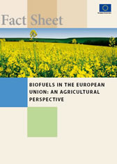 Biofuels in the European Union: An Agricultural Perspective