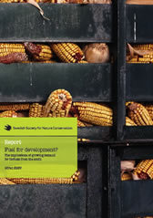 Report. Fuel for Development?. The implications of growing demand for biofuels from the South 