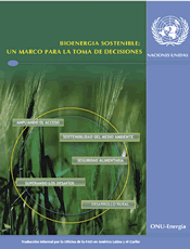 Bioenergía sostenible: Un marco para la toma de decisiones