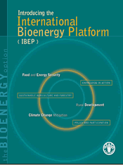 Introducing the International Bioenergy Platform (IBEP)