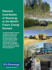 Potential Contribution of Bioenergy to the World’s Future Energy Demand.