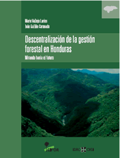 Descentralización de la gestión forestal en Honduras: mirando hacia el futuro
