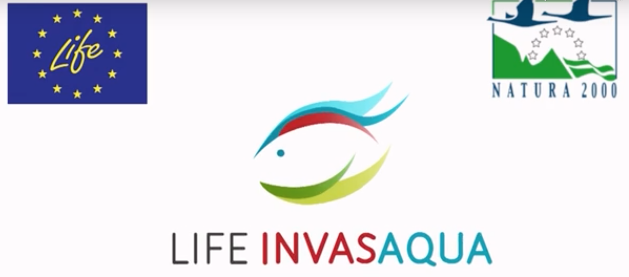 LifeInvasaqua on X: Cerimónia de Encerramento LIFE INVASAQUA O projeto  LIFE INVASAQUA (LIFE17 GIE/ES/000515) termina em outubro de 2023, e a  equipa do MARE-UL convida-o para a respetiva sessão de encerramento, que