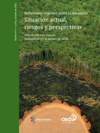 Reflexiones urgentes sobre la Amazonía. Situación actual, riesgos y perspectivas.