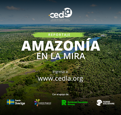 Reportaje: Amazonia en la mira