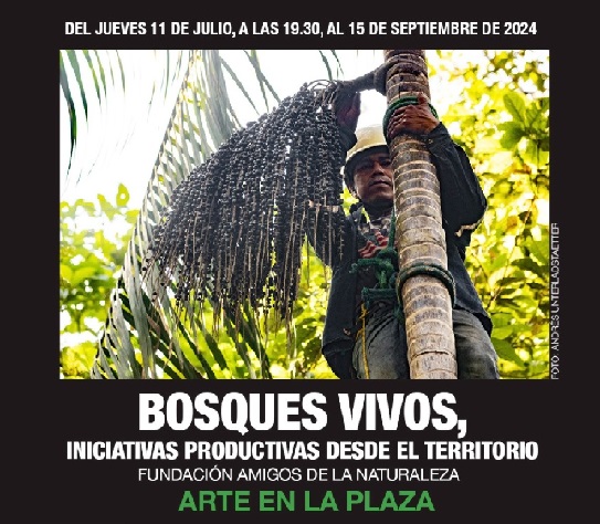 Bosques Vivos: descubre las iniciativas productivas de la Chiquitanía y Amazonía boliviana.