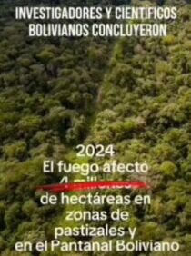 Compartimos la Pronunciación de la Comisión Científica Nacional de Bolivia sobre los Incendios Forestales