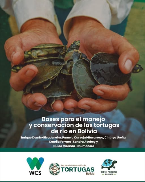 Hoy celebramos el día de la Biodiversidad