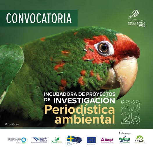 ¡Vuelve la Incubadora de Proyectos de Investigación Periodística!