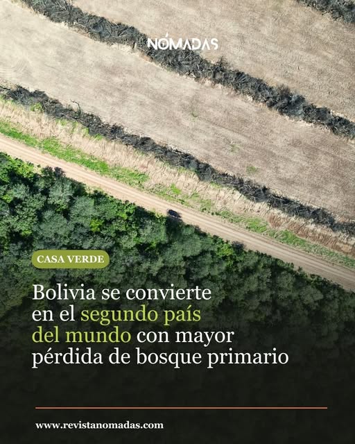 Bolivia se convierte en el segundo país del mundo en mayor perdida de bosque primario.