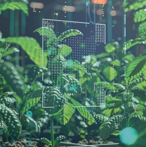 7th Annual Agriculture and Plantations Summit Bangkok | July 2025