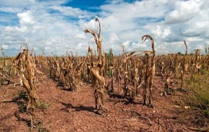 Día Mundial de Lucha contra la Desertificación y la Sequía
