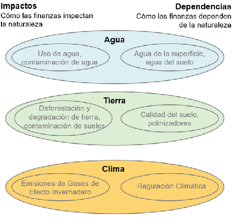 La pérdida de biodiversidad como amenaza al sistema financiero.