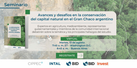 Avances y desafíos en la conservación del capital natural en el Gran Chaco argentino