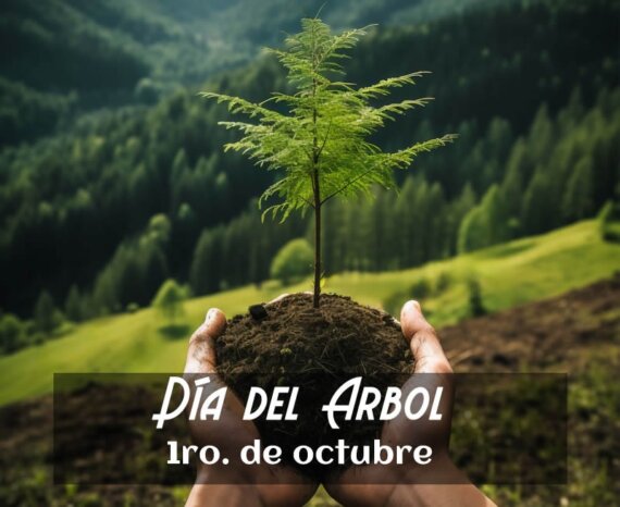 Día del árbol