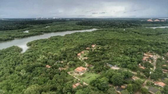 Protejan manglares, ríos y bosques en la Amazonía de Brasil