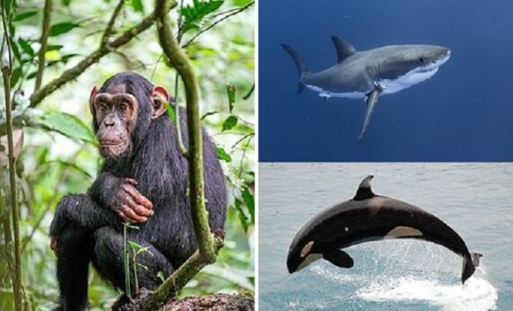Hoy 14 de julio se convierte en una fecha muy significativa para la biodiversidad.
