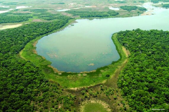 Día Mundial de los Humedales. 2 de febrero