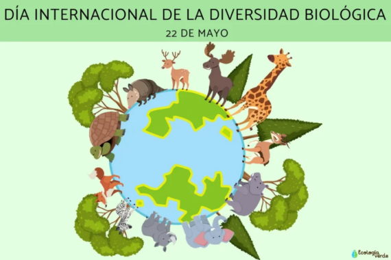 dia_internacional_de_la_diversidad_biologica_-1-1024x683