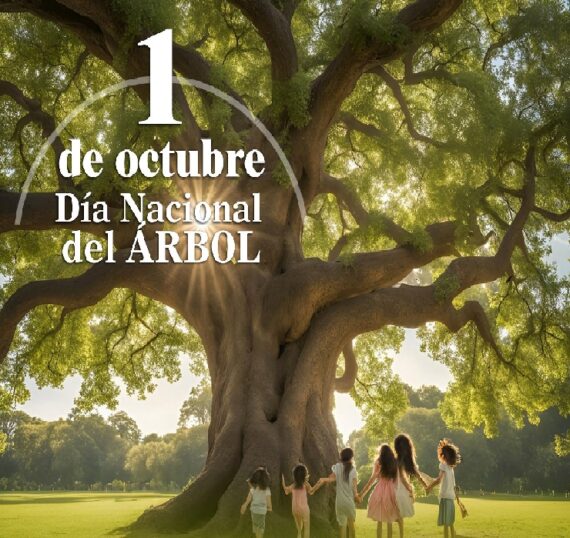 Dia-del-arbol-1-de-octubre-2026